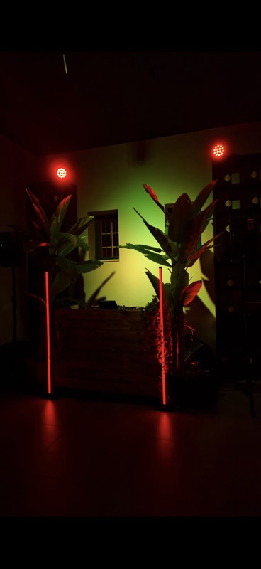 La sala cocktail illuminata di rosso e verde