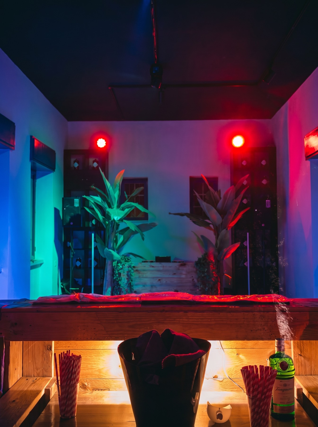 Il bancone bar illuminato da luci rosse e blu, con piante e casse ai lati